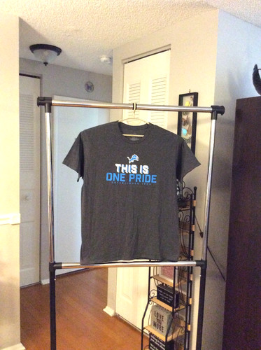 Detroit lions this one - lions, is